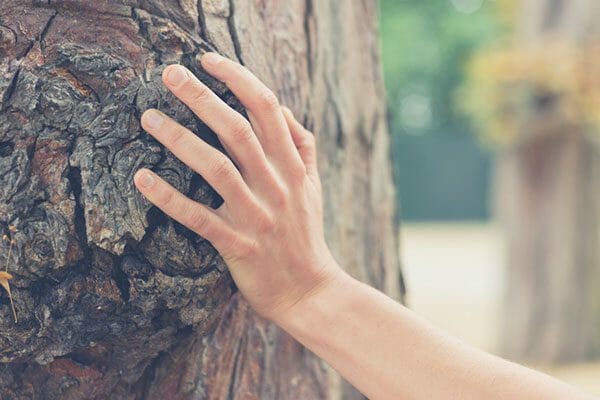 Spirit Yoga MBSR-Kurs